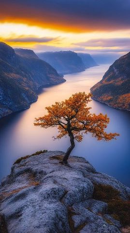 Nature 2